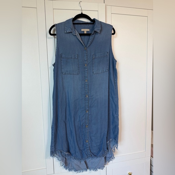 Appraisal Sleeveless Button-Front Denim Shirt Dress - Blue - Picture 9 of 13